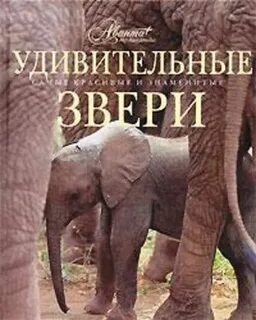 4 популярных животных