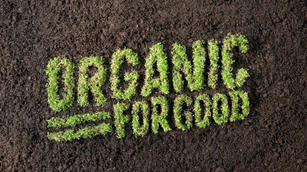 Био-ферма доставка особый. Organic production. 100 натуральный продукт значок. Organic production. Лого 100% natural organic.