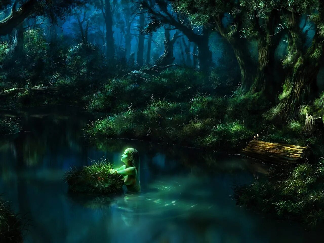 Сказочное озеро. Камыши и кувшинки. Чаруса болото. Пруд арт. Арт пруд.