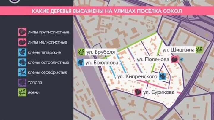 Марковников, 1923. Карта поселка сокол. Поселок «сокол». 1923 г. Посёлок сокол москва на карте.