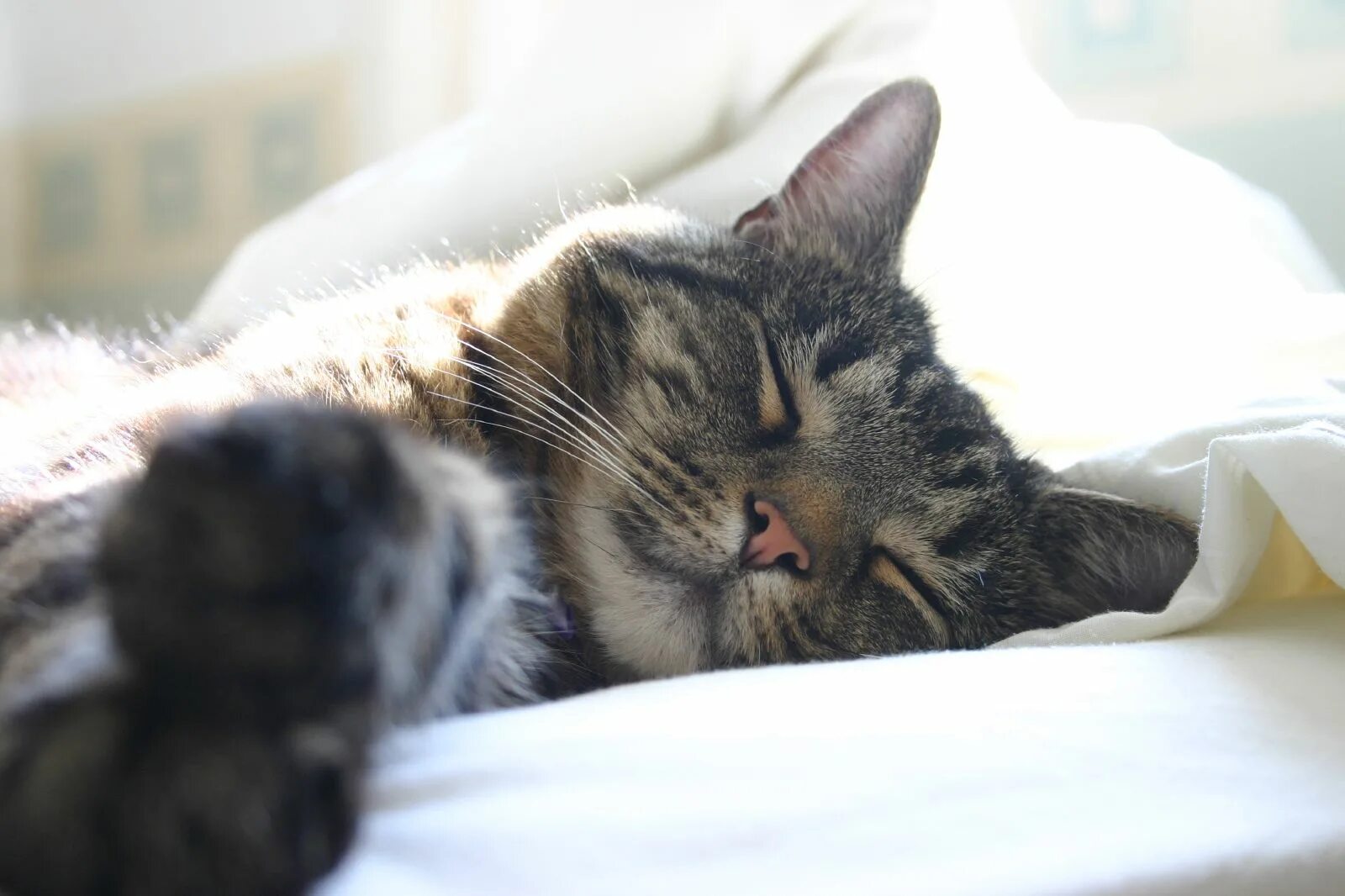 Getting enough sleep