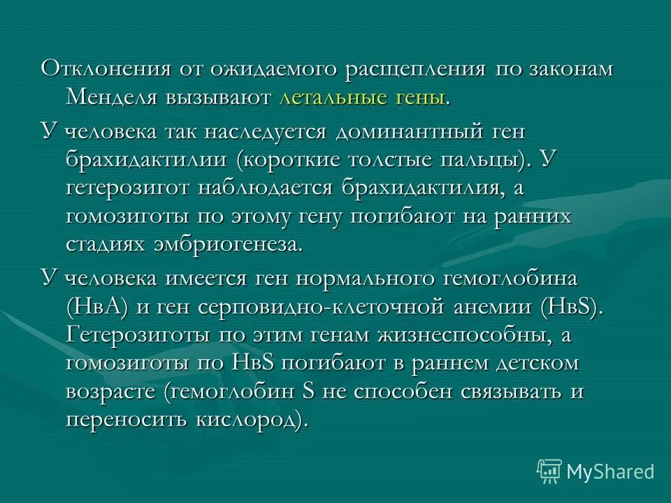 летальные гены человека