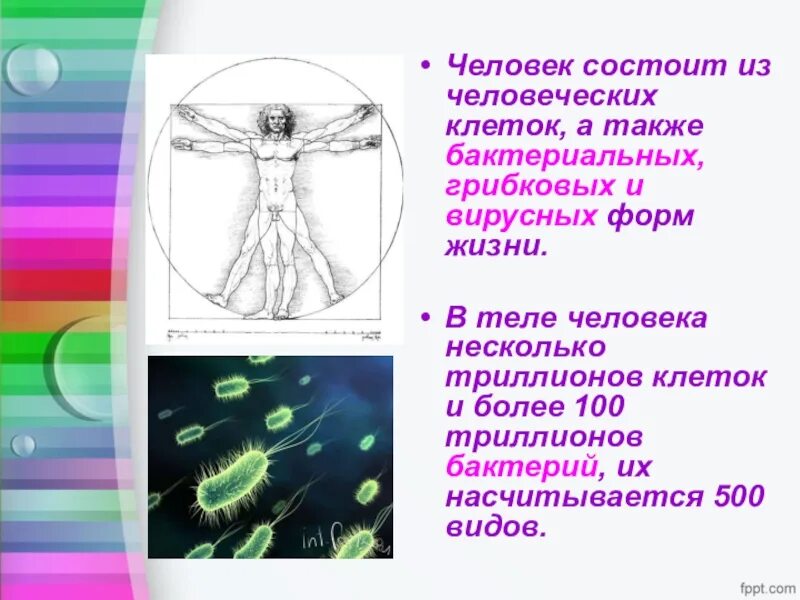 Человек состоит из. Организм человека состоит. Организм человека состоит из клеток. Тело человека состоящее из клеток. Тело всех организмов состоит из клеток