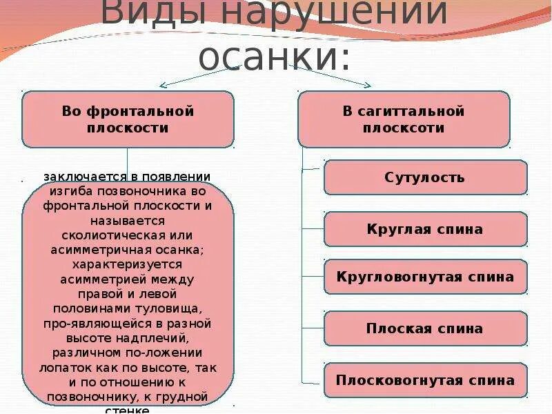 Нарушение осанки сколиоз сутулость. Гамбурцев в. Схемы штаффеля. Типы осанки перегибестая. Классификация осанки.