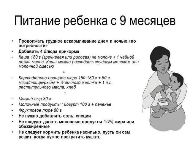 Что можно ребенку в 9 месяцев кушать. Рацион питания ребенка в 9 месяцев при грудном вскармливании. Меню ребёнка в 9 месяцев на грудном вскармливании на день. Питание 9 месячного ребенка при грудном вскармливании. Меню ребёнка 8-9 месяцев на грудном вскармливании.