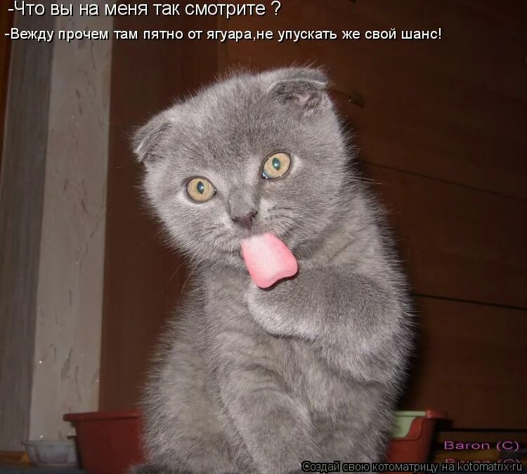Прочего там