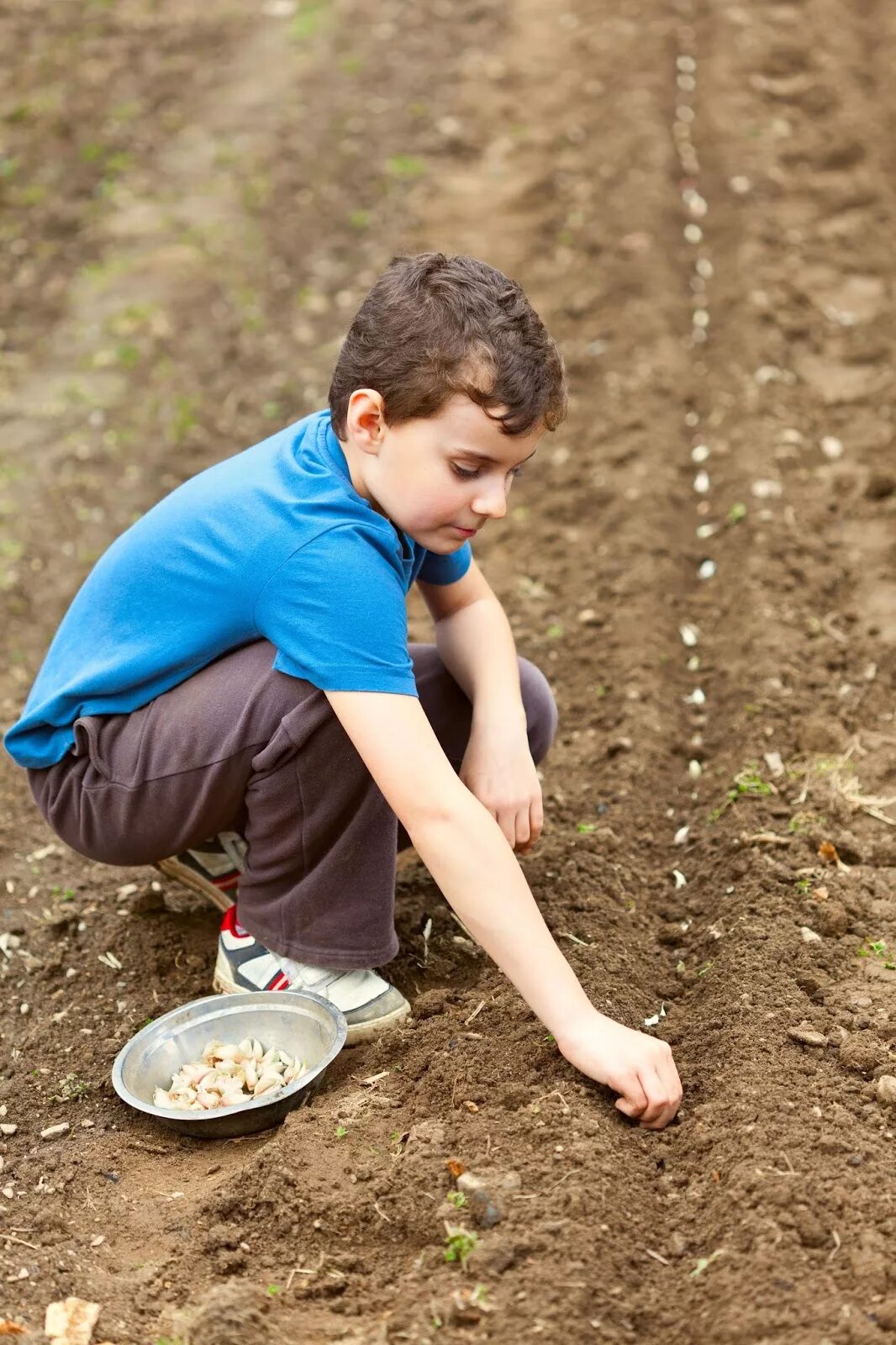 Мальчик сеет. Мальчик, сажающий семя. Мальчик посадил семечку. Картинка мальчик сажает семена. Planting boy