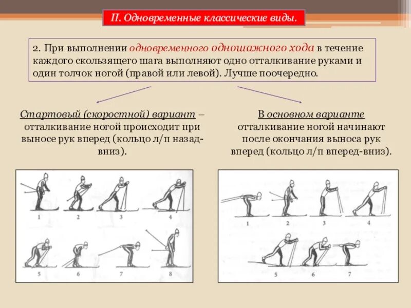 Одновременный шаг. Описание техники выполнения одновременного одношажного хода. техника классического хода одновременный ход одношажный. одновременный одношажный ход техника выполнения. техники классических лыжных ходов.