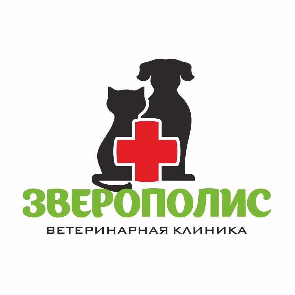Багира магадан ветклиника. Ветклиника россошь телефон. Кпнака багира. Ветклиника багира россошь. Ветклиника логотип.