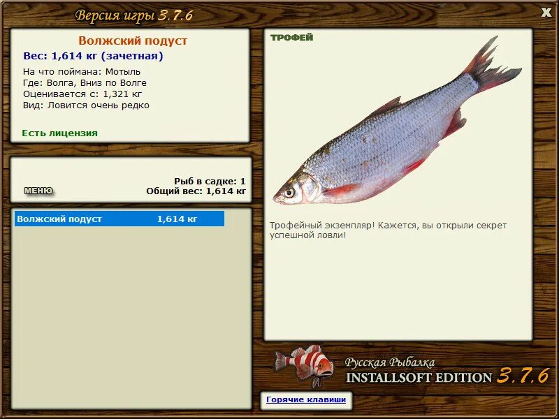 рр3 волга подуст рыбец. волжский подуст реальная рыбалка мокша на что ловить. игра реальная рыбалка подуст. как поймать подуст на урале в игре русская рыбалка 3. игра реальная рыбалка подуст.