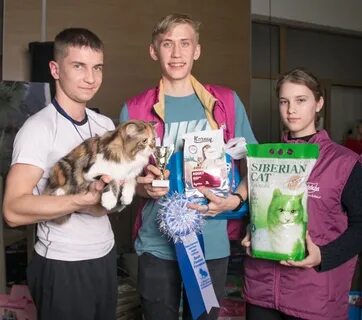 Коте иркутск