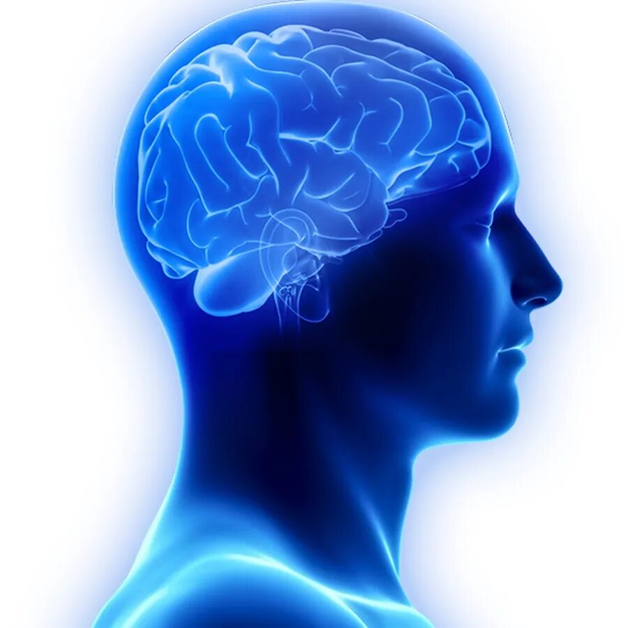 Clean brain. Синий мозг. Мозг синий цвет. Мозг красный и синий.