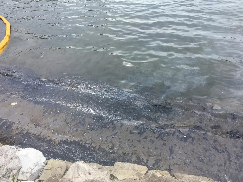 Мазут в черном море последствия фото В Самарской области ликвидируют последствия разлива нефтепродуктов Новости Mai