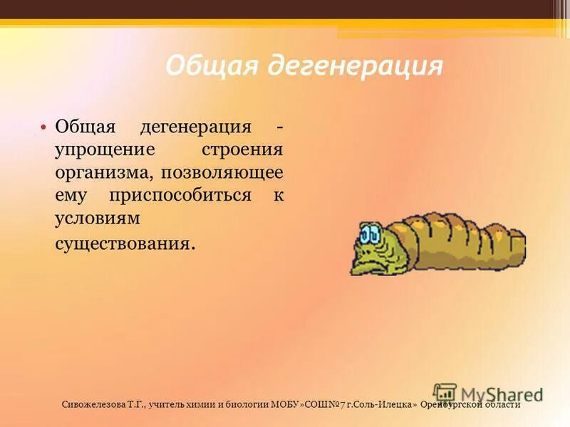 Упрощение строения. Упрощение строения