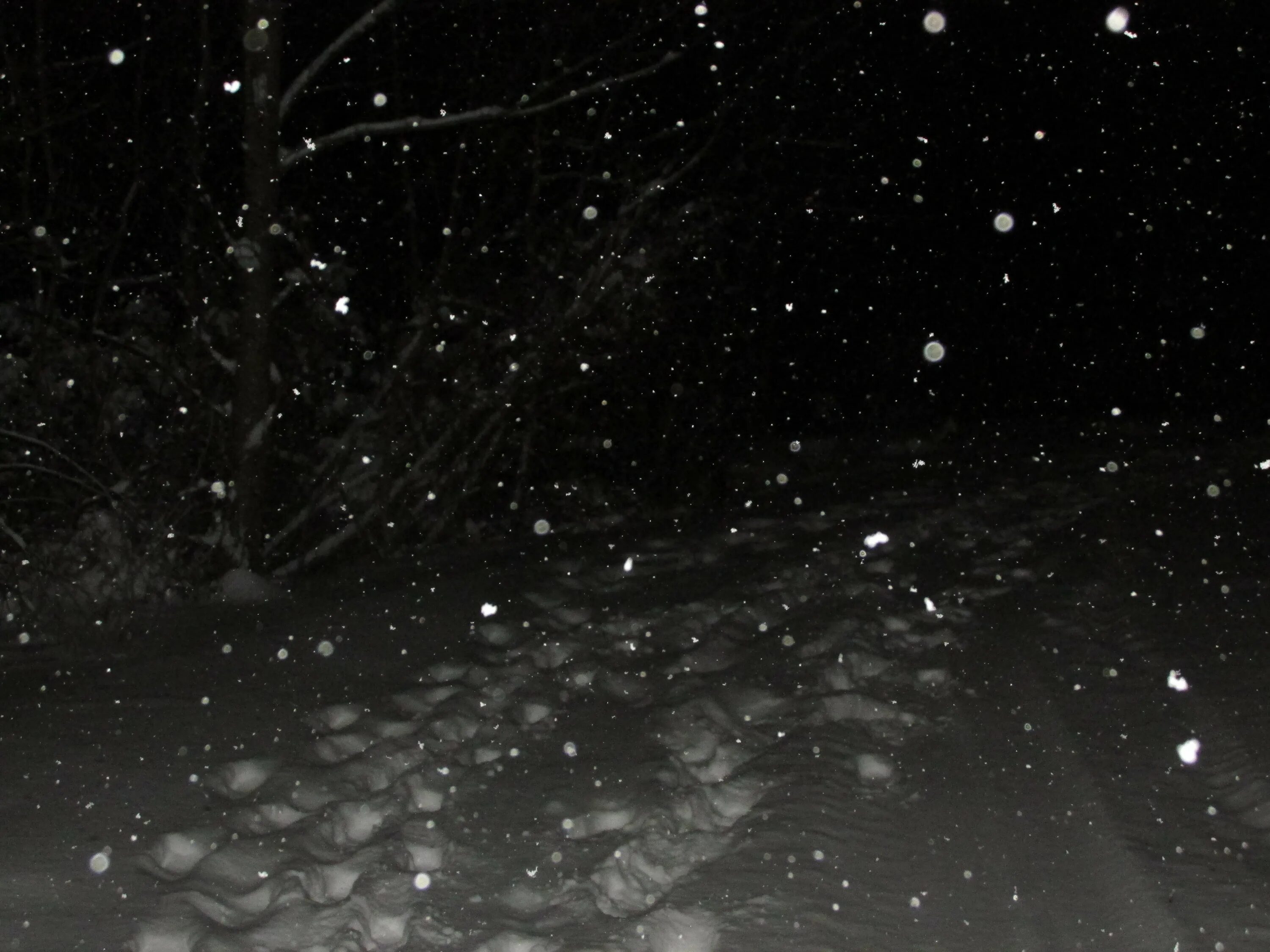 Снег ночью. Снег текстура. Падающий снег. Снегопад на черном фоне.