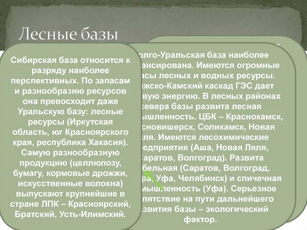 Урало поволжская. Центральная Лесная база запасы древесины. Сибирская Лесная база характеристика. Характеристика Лесной базы. Характеристика лесных баз.