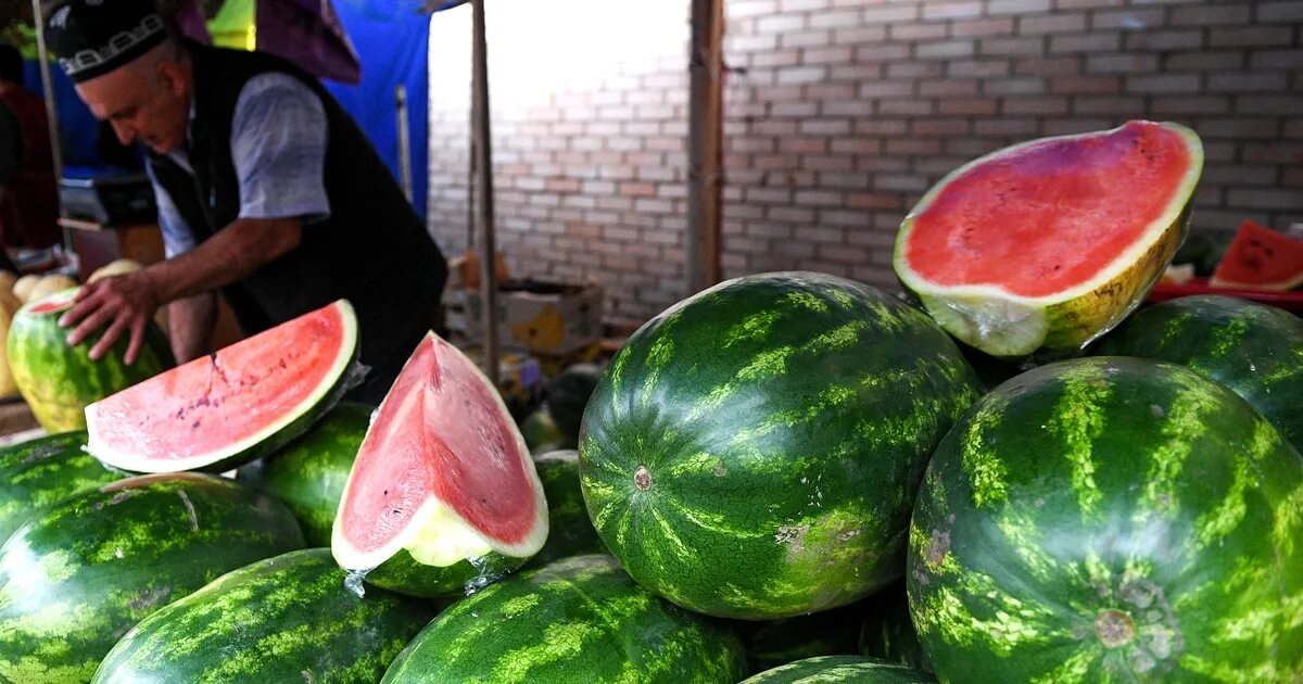 Арбуз тяжелее дыни. Арбуз и дыня. Бахчевые культуры. Арбуз Астраханский. Гигантский Арбуз.