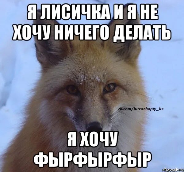 Как не чего не есть
