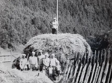 Как выглядит история