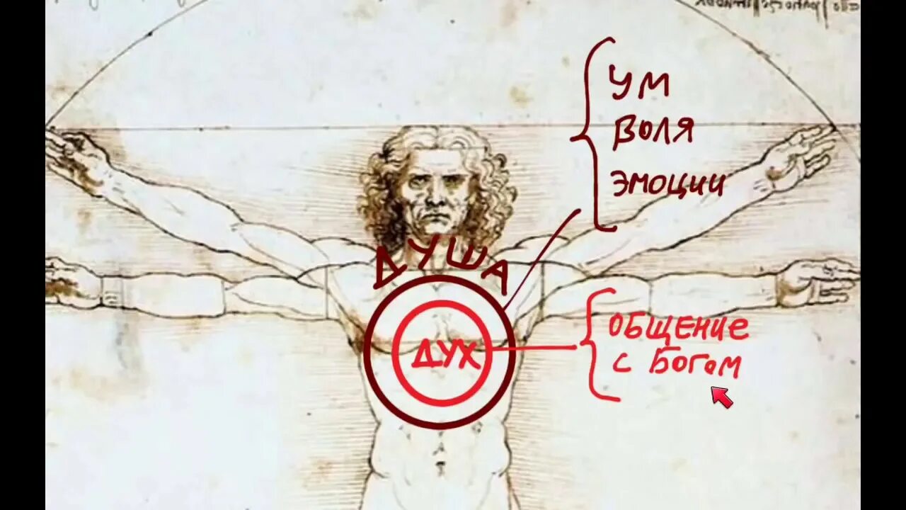 Человек душа и плоть. Человек душа и плоть