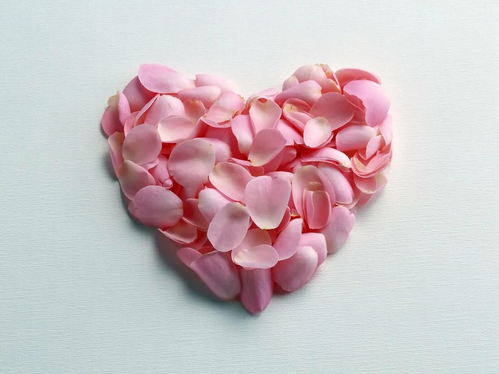 Нежно лепестками роз. Красивое сердце. Цветы сердечки. Сердечко из цветов. Розовые лепестки.
