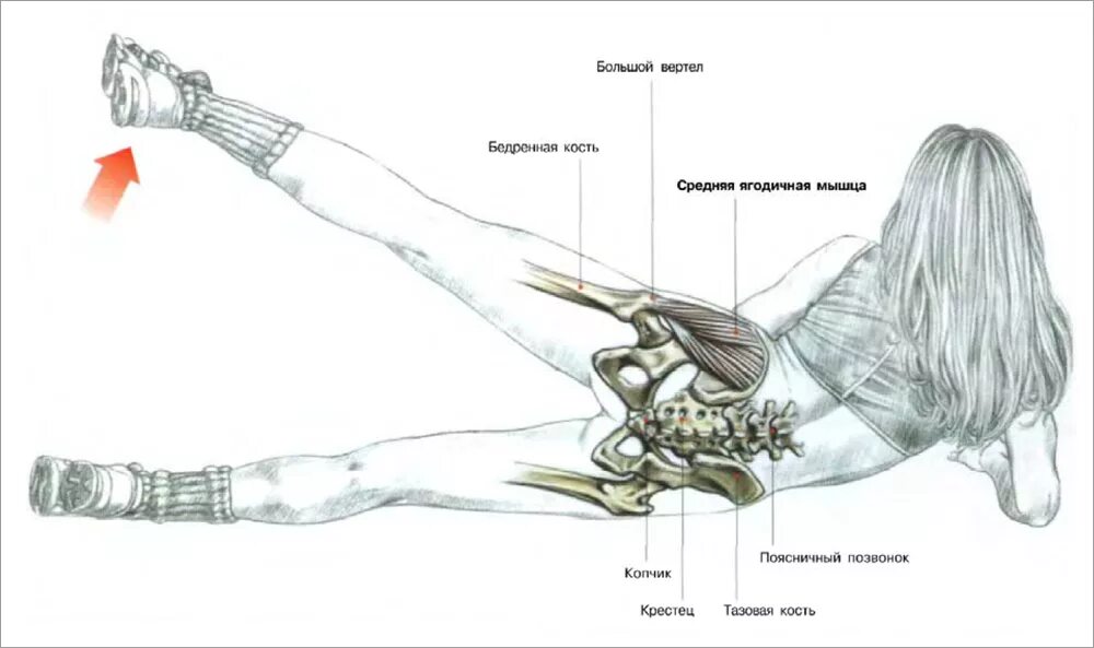 Упражнение лежа на боку. Эффективные упражнения для средней ягодичной мышцы. Упражнения на средние ягодичные мышцы. Упражнения для качания средней ягодичной мышцы. Отведение бедра схема.