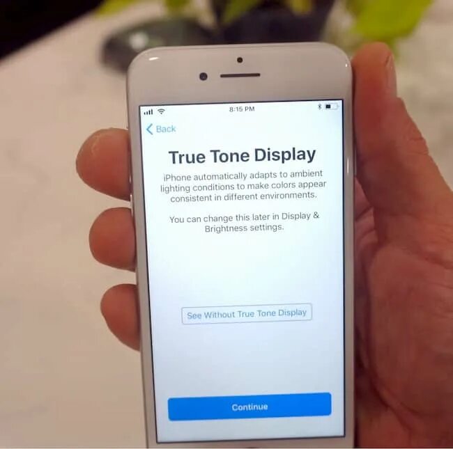 Что такое true tone. True tone iphone. true tone iphone 7. технология true tone. дисплей true tone.