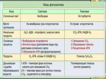 Задачи на энергетический обмен