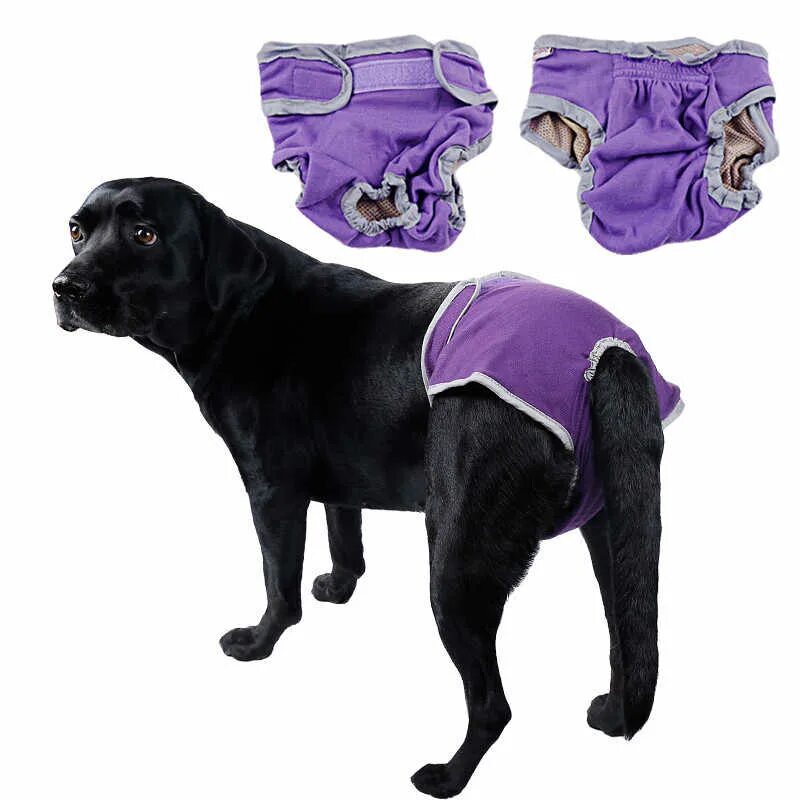 Подгузники для собак крупных. Pet baronet одежда для собак. Собака трус. Трусы для собак. Подгузники для собак good dog 7751 размер м.