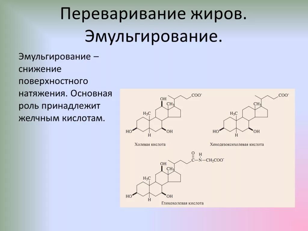 Ферменты эмульгирующий жиры. Холевая кислота эмульгирование жиров. Желчные кислоты эмульгируют жиры. Схема эмульгирования липидов. Механизм эмульгирования жиров.