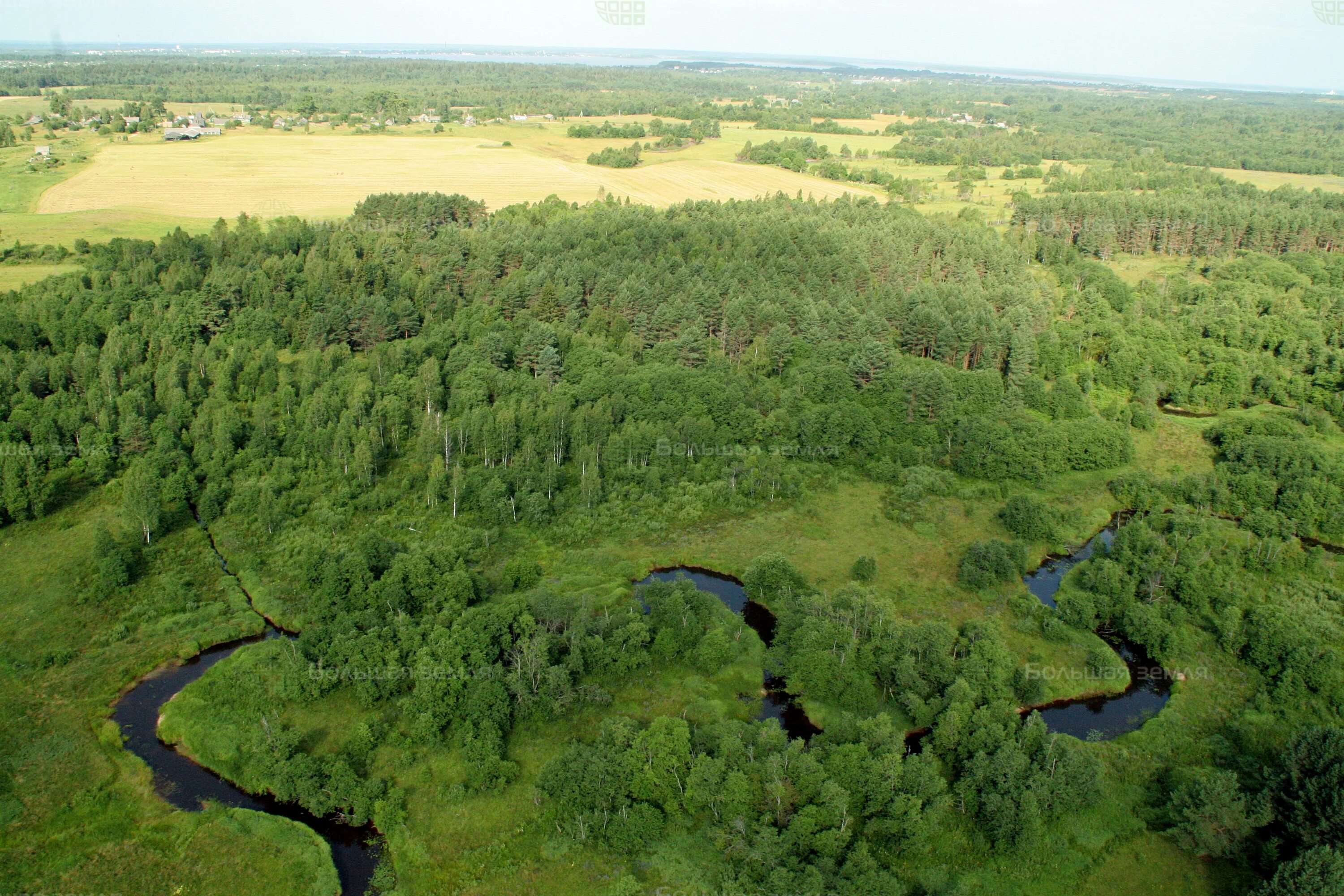 4000 гектар земля. 21. Сельскохозяйство крыма. 4000 гектар. 17.