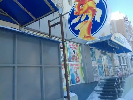 Телефон магазина золотая рыбка