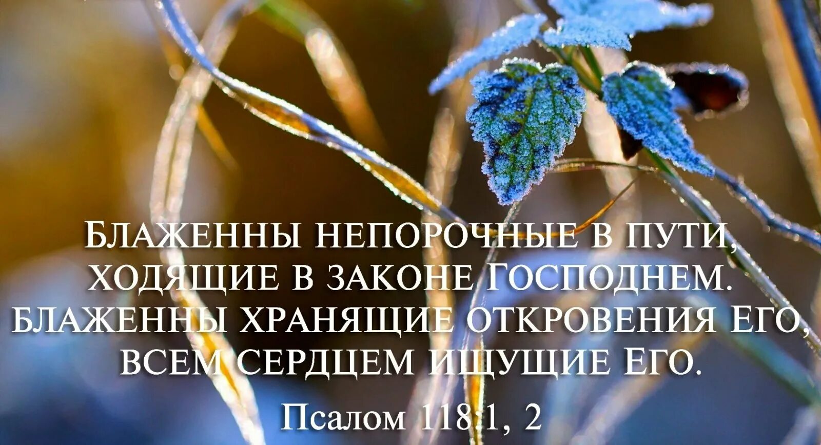 С пути сойдешь друзья тебя доведут. Христианские открытки с Цитатами из Библии. Цитаты из псалмов в картинках. Христианские открытки со стихами из Библии. Красивые высказывания из Библии.