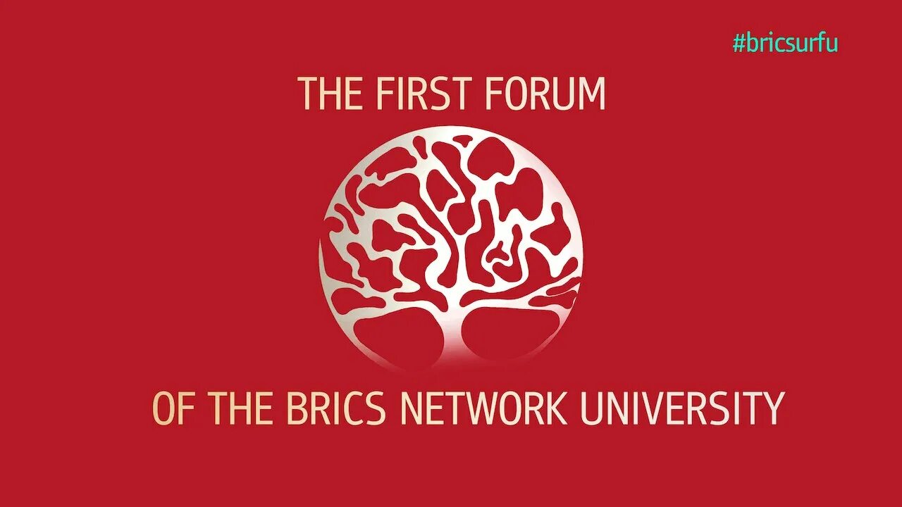 Университет брикс. Сетевой университет БРИКС. Сетевой университет БРИКС логотип. БРИКС + сеть университетов.