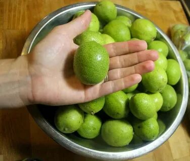 Зеленое лечи
