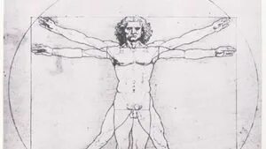 Detailed bodies