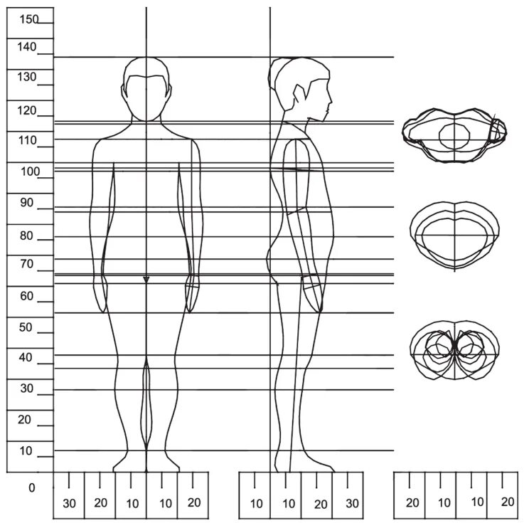 Примеры масс людей. Абрис тела человека. Абрис фигуры человека. Эскизы стандартного фигур. Абрис фигуры женщины.