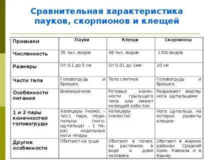 Основные морфологические признаки членистоногих