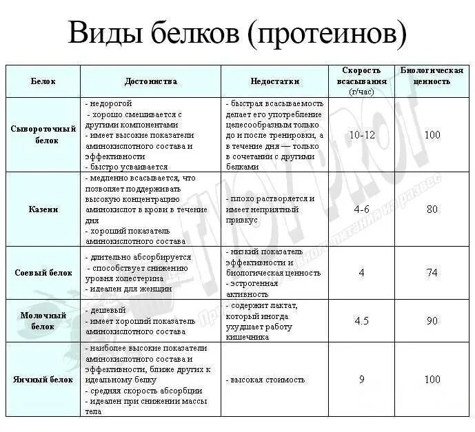 К протеинам относятся. Функции протеина. Разновидности протеинов и их свойства. Скорость усвоения протеина таблица. Функции белков характеристика и пример в виде таблицы.