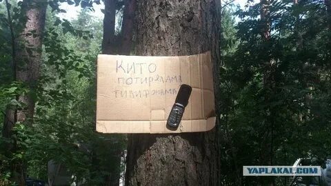Победитель по жизни аудиокнига