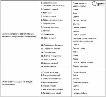 Щавель при диабете 2 типа