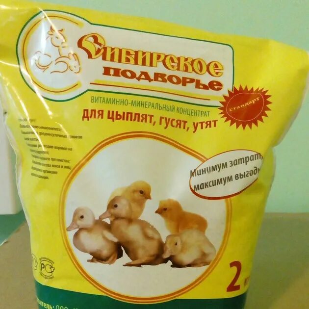 Можно ли цыплятам давать огурцы