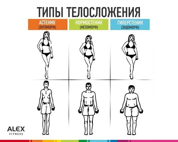 Астеник определить. Типы телосложения астеник.нормостеник.гиперстеник. нормостеник тип телосложения у женщин. типы фигуры астеник гиперстеник. тип фигуры нормостеник женщина.