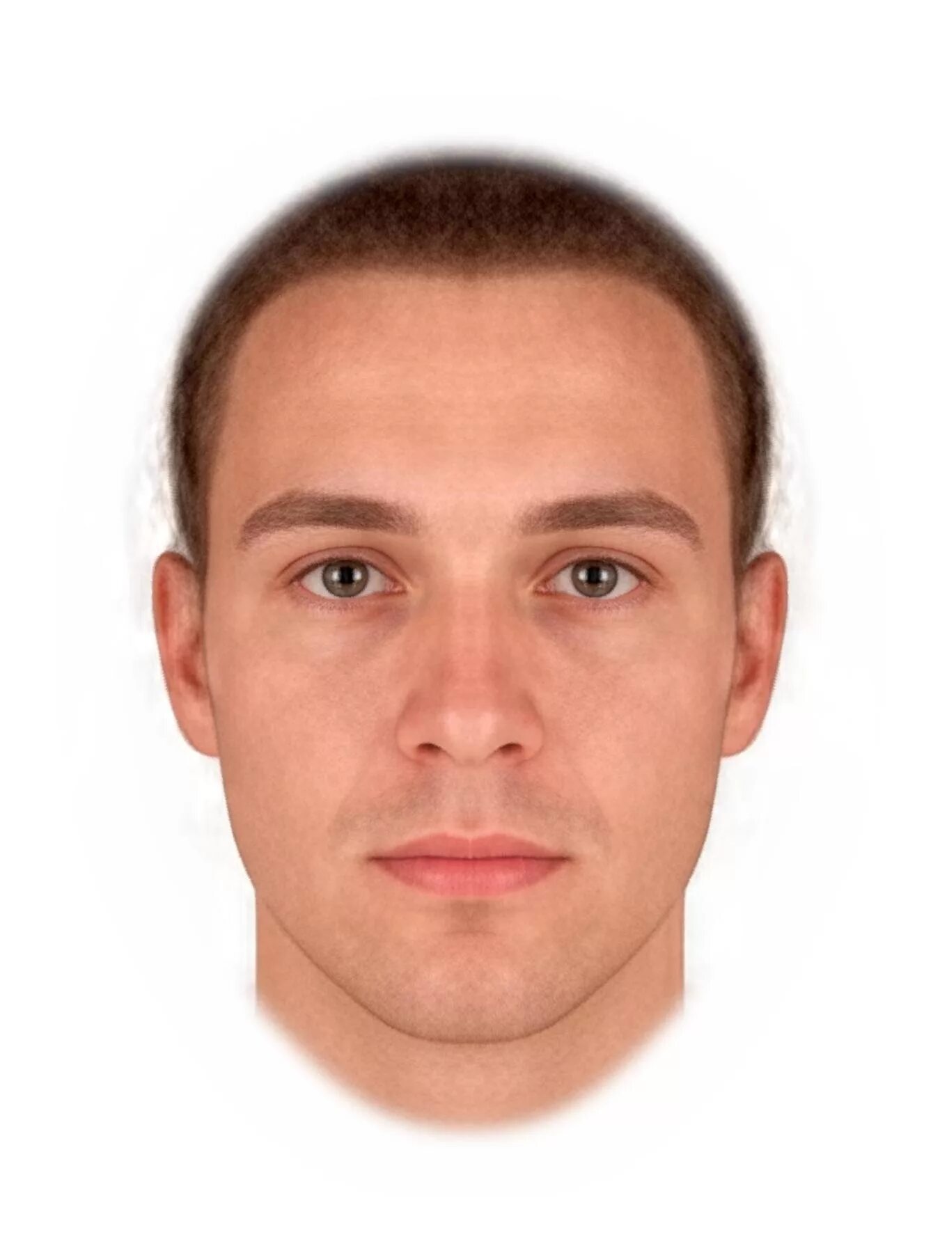 Сетка распознавания лица. Face research. Face research. Дарья тимурович. Лицо teedi.