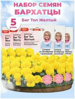 Биг топ отзывы