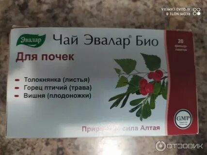 Эвалар почечный