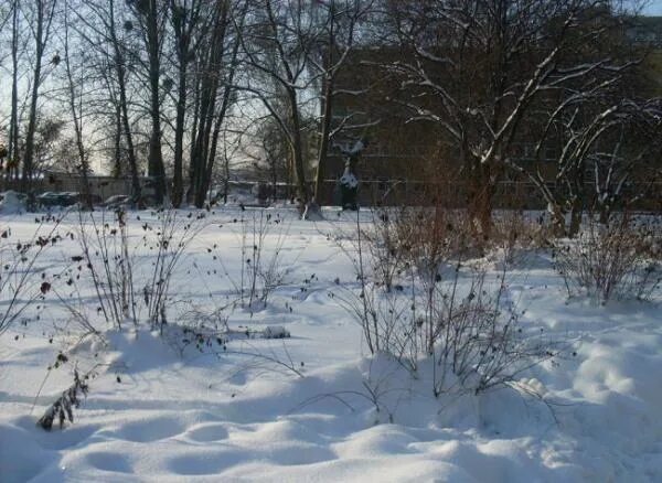 Разбитый сад. Пустырь зимой. Зимний пустырь в частном секторе. Зима пустырь с бетонным забором. Саратов пустырь.