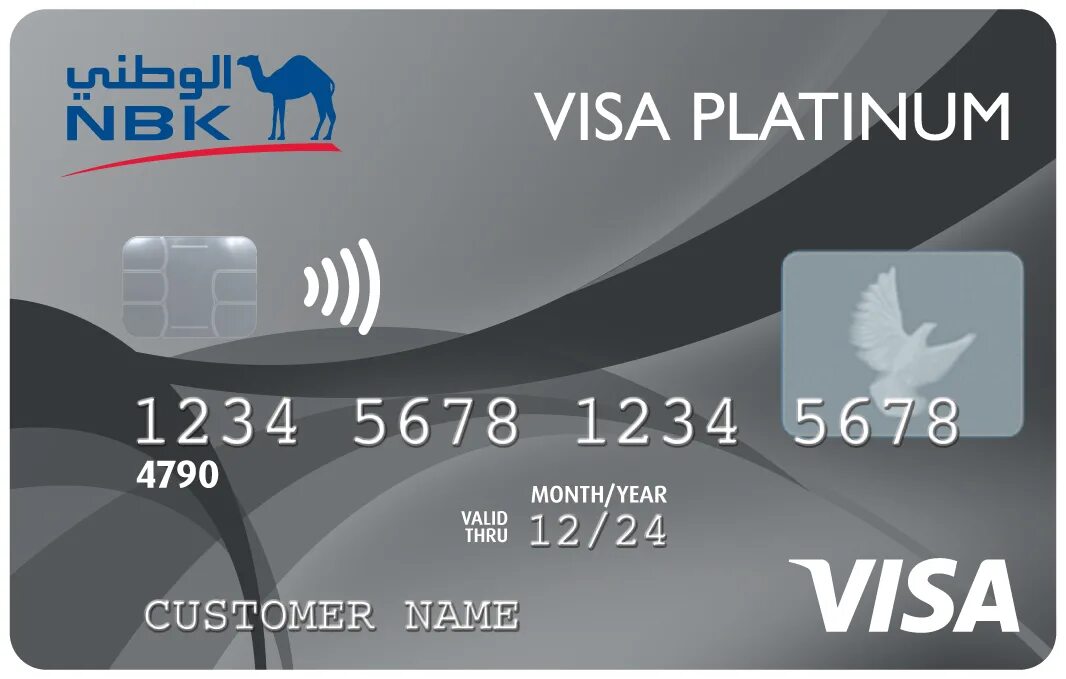 Банковские карты сегодня. Карточка виза. Карта visa. Банковская карта visa. Платиновая карта visa.