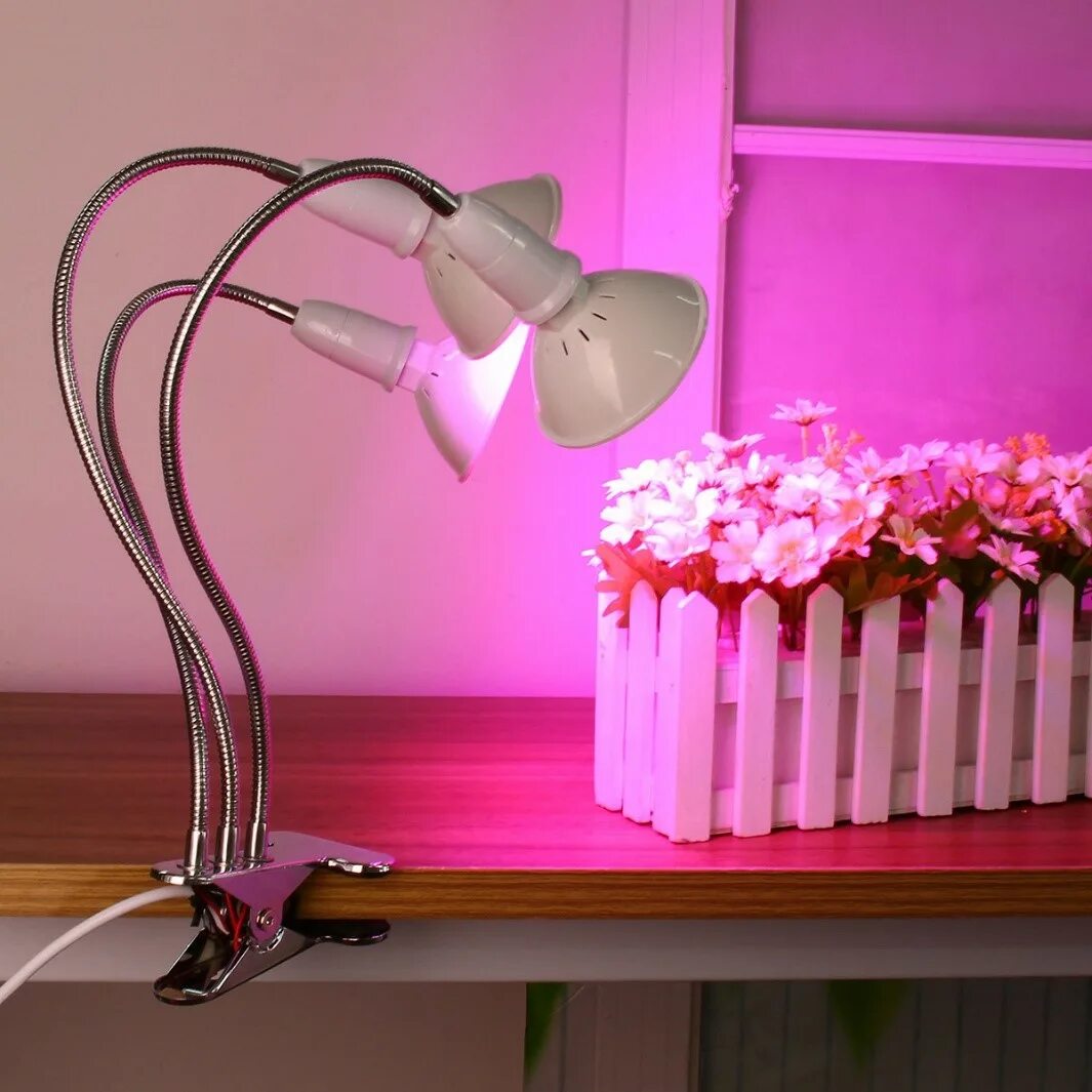 Светильник для фитолампы. Лампа для растений e11575. Лампы для цветов комнатных. Фитолампы в интерьере. Неоновая лампа для растений.