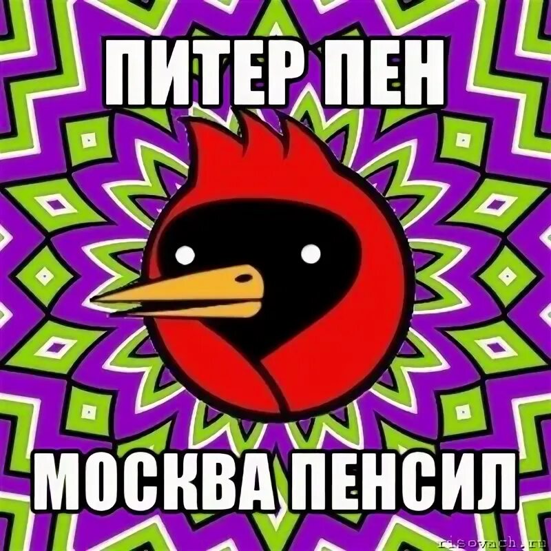 Димдимыч хочешь покажу пенсил. Кот мем да. Мемы карандашом. Дим димыч хочешь покажу пенсил. Пенсил человека.